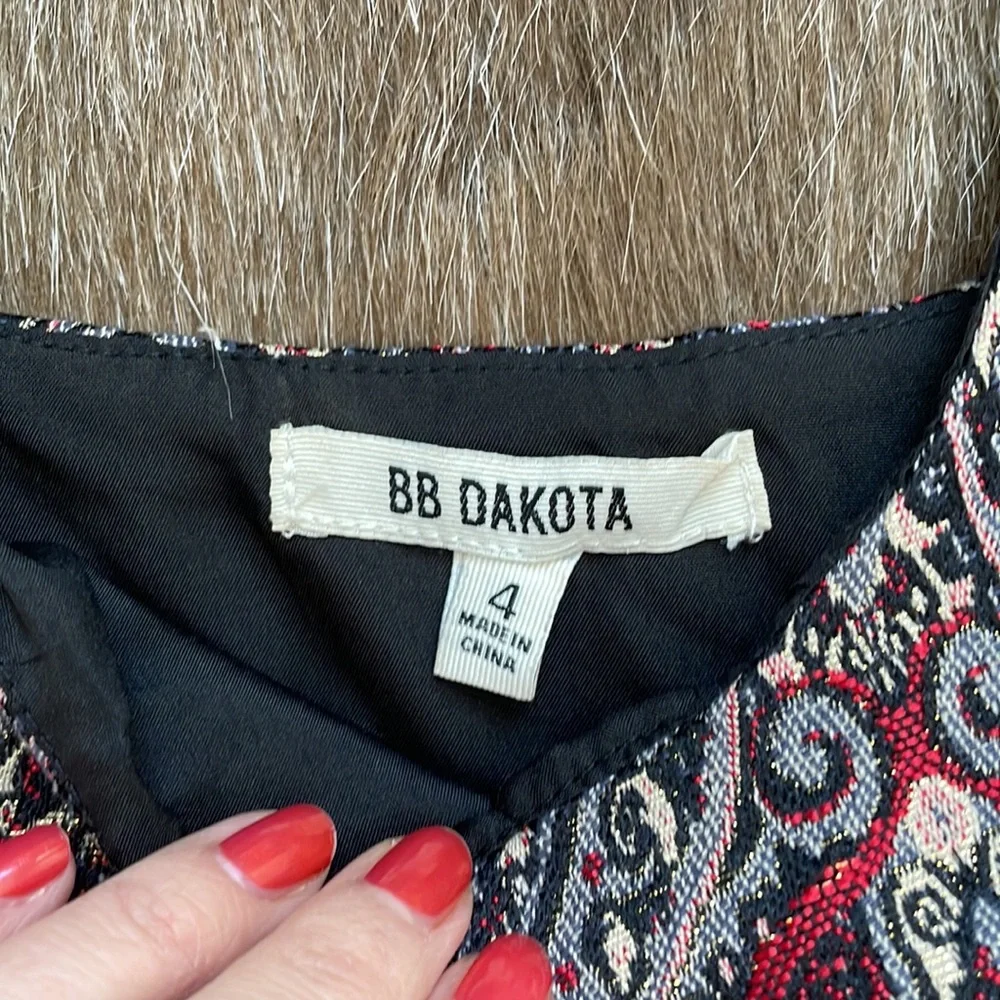 BB Dakota paisley dress - Picture 3 of 7